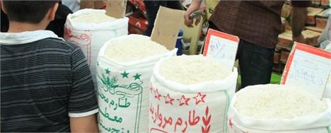 کل نیاز به واردات برنج ۶۰۰هزارتن در سال است