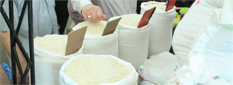 نیاز سالانه واردات 3/1 میلیون تن برنج