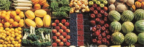 صاد‌‌رات میوه به روسیه د‌‌ر حد‌‌ حرف است