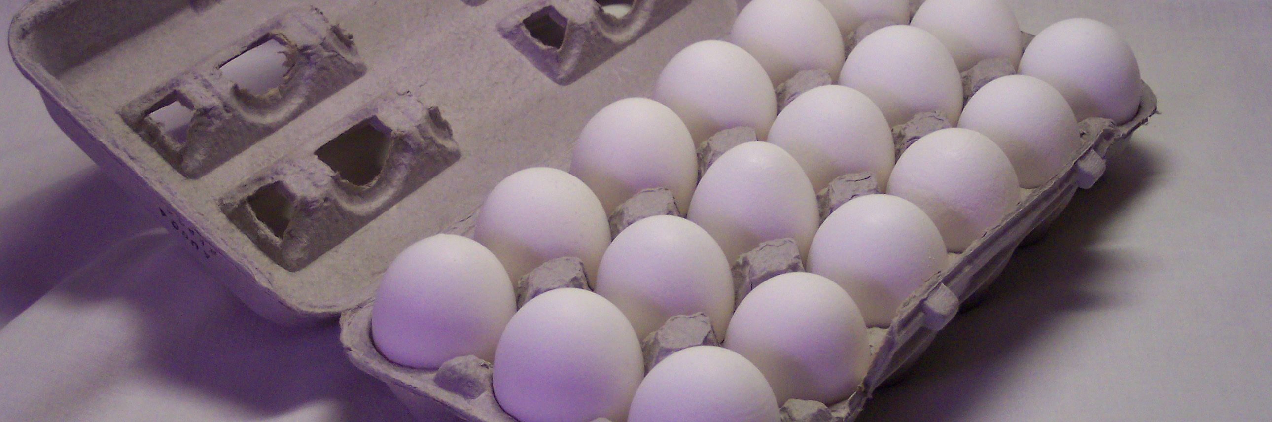 وعده یارانه ۵۰ میلیارد تومانی تنظیم بازار تخم مرغ عملی نشد