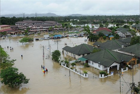 افزایش قیمت کائوچوی طبیعی و روغن پالم به سبب بروز سیلاب