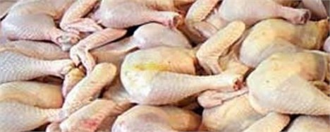 کاهش قیمت مرغ به زیر ۶۰۰۰ تومان