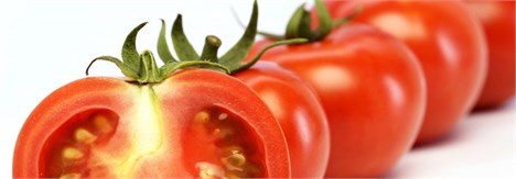 فراز و فرود گوجه‌فرنگی از 10 هزار تا 100 تومان/ ورود گوجه ارزان پاکستانی به بازار