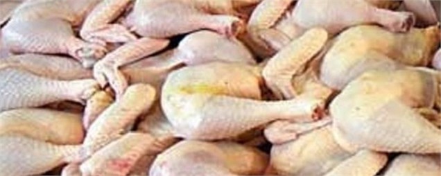 تولید۵۴ هزار تن گوشت مرغ تا پایان سال جاری در استان مرکزی