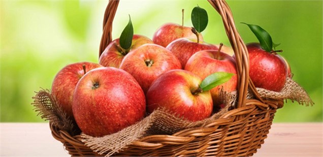 دپوی بیش از ۲۰۰ هزار تن سیب درختی در سردخانه های ارومیه
