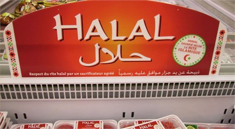 سهم ایران از گردش مالی غذای حلال در جهان کمتر از یک درصد است
