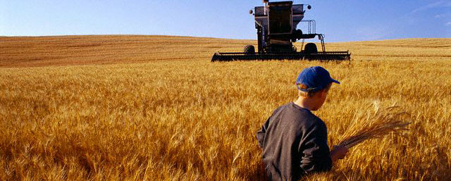مدیریت در کشاورزی در طول سه دهه اخیر ضعیف بوده است