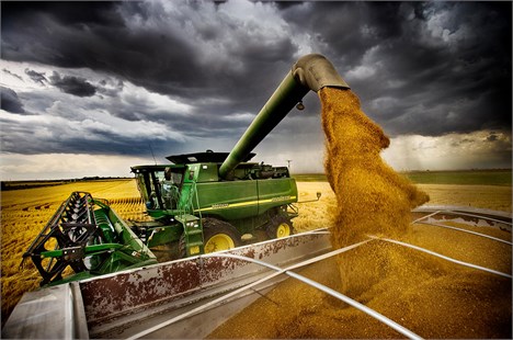 سازمان جهانی خواربار: روند نزولی قیمت مواد غذایی در بازارهای جهان ادامه دارد