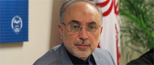 صالحی: فکت‌شیت ایرانی در دست ظریف است