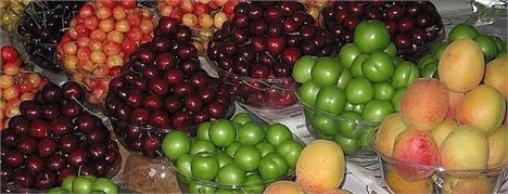 کاهش ۲۰ هزار تومانی قیمت گوجه سبز