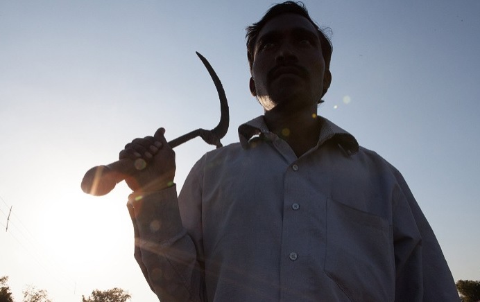 هر هشت ساعت یک کشاورز پنبه‌کار هندی دست به خودکشی می‌زند.