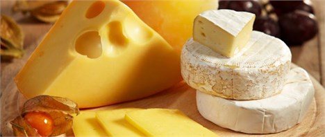 راه اندازی واحدهای صنعتی پرورش بزشیری با هدف تولید پنیر