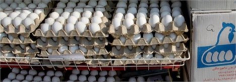 امکان خرید تضمینی تخم مرغ مازاد مرغداران وجود ندارد