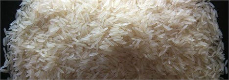 معامله برنج تایلندی در بورس کالای ایران
