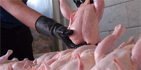 ایران رتبه هفتم تولید گوشت مرغ جهان را دارد