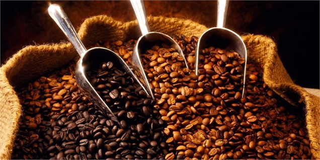 بازگشت قدرتمندانه اندونزی به بازار قهوه