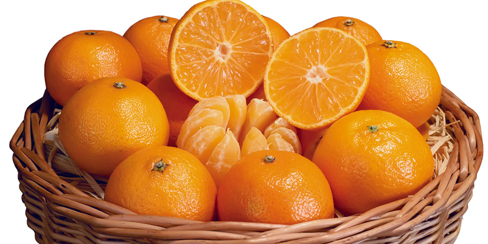 پرتقال با گرانی ۱۵۶ درصدی رکورد شکست