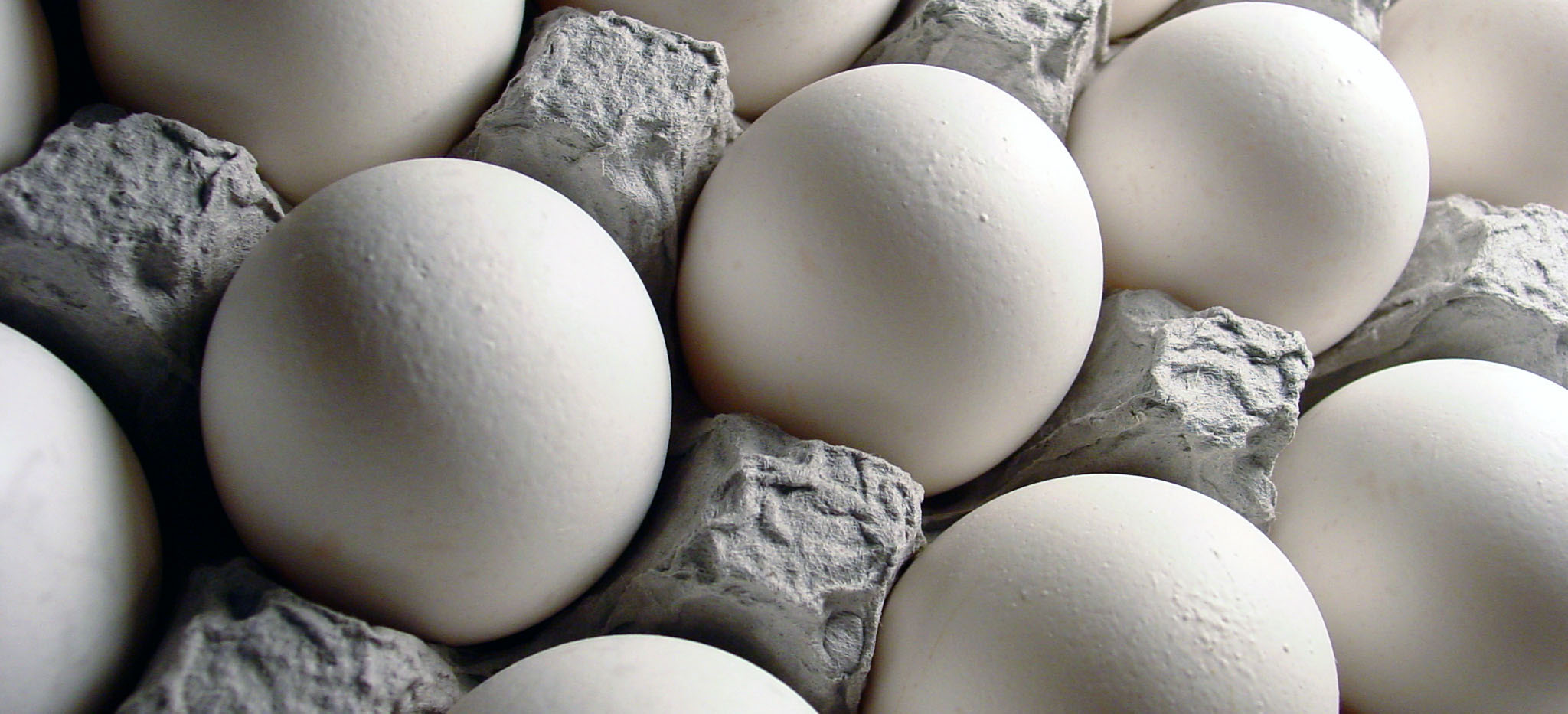 تخم‌مرغ ارزان می‌شود/ صادرات 98 درصدی تخم‌مرغ به عراق