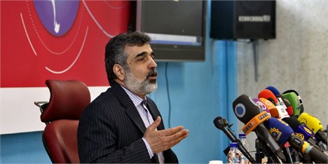 کمالوندی:برخی متاسفانه از پروتکل الحاقی تابوسازی می‌کنند/ پیشنهاد مذاکره با آمریکایی‌ها را صالحی داد نه احمدی‌نژاد