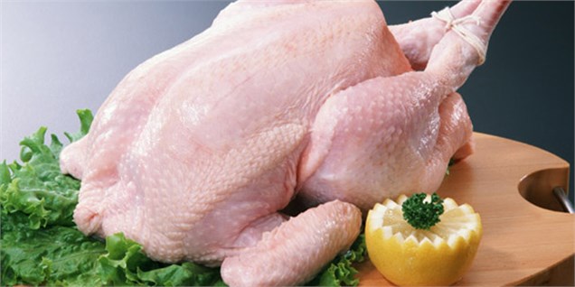 کارگروه تولید مرغ بدون آنتی بیوتیک در البرز آغاز به کار کرد