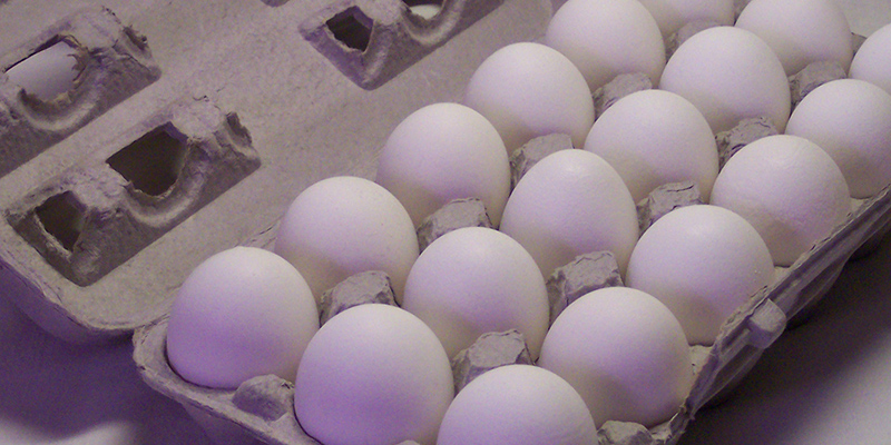 تخم‌مرغ جای افزایش قیمت ندارد