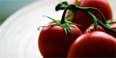 عرضه رب گوجه فرنگی برای اولین بار در بازار فرعی بورس کالای ایران