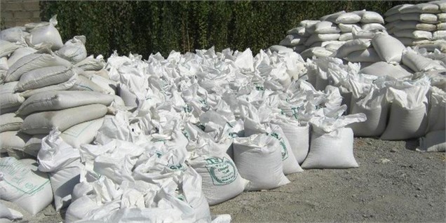 واردات بذر سویا از انگلیس/ ممنوعیت فروش کود بدون تأیید