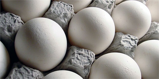 صادرات تخم‌مرغ به عراق و افغانستان از سر گرفته می‌شود