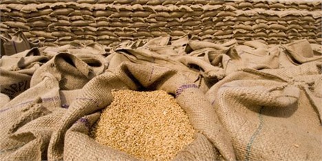 دولت هند برای واردات گندم تعرفه وضع کرد