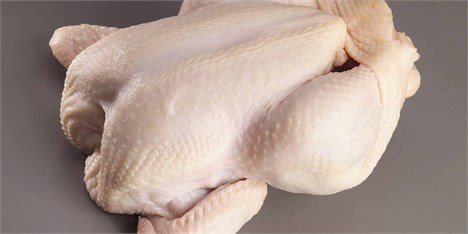 واردات مرغ اجداد، پایه برنامه ریزی صنعت مرغداری
