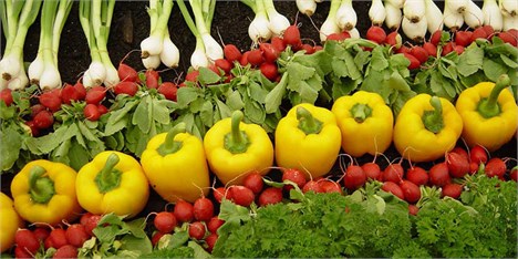صادرات محصولات کشاورزی آذربایجان شرقی به ۲۴ کشور دنیا