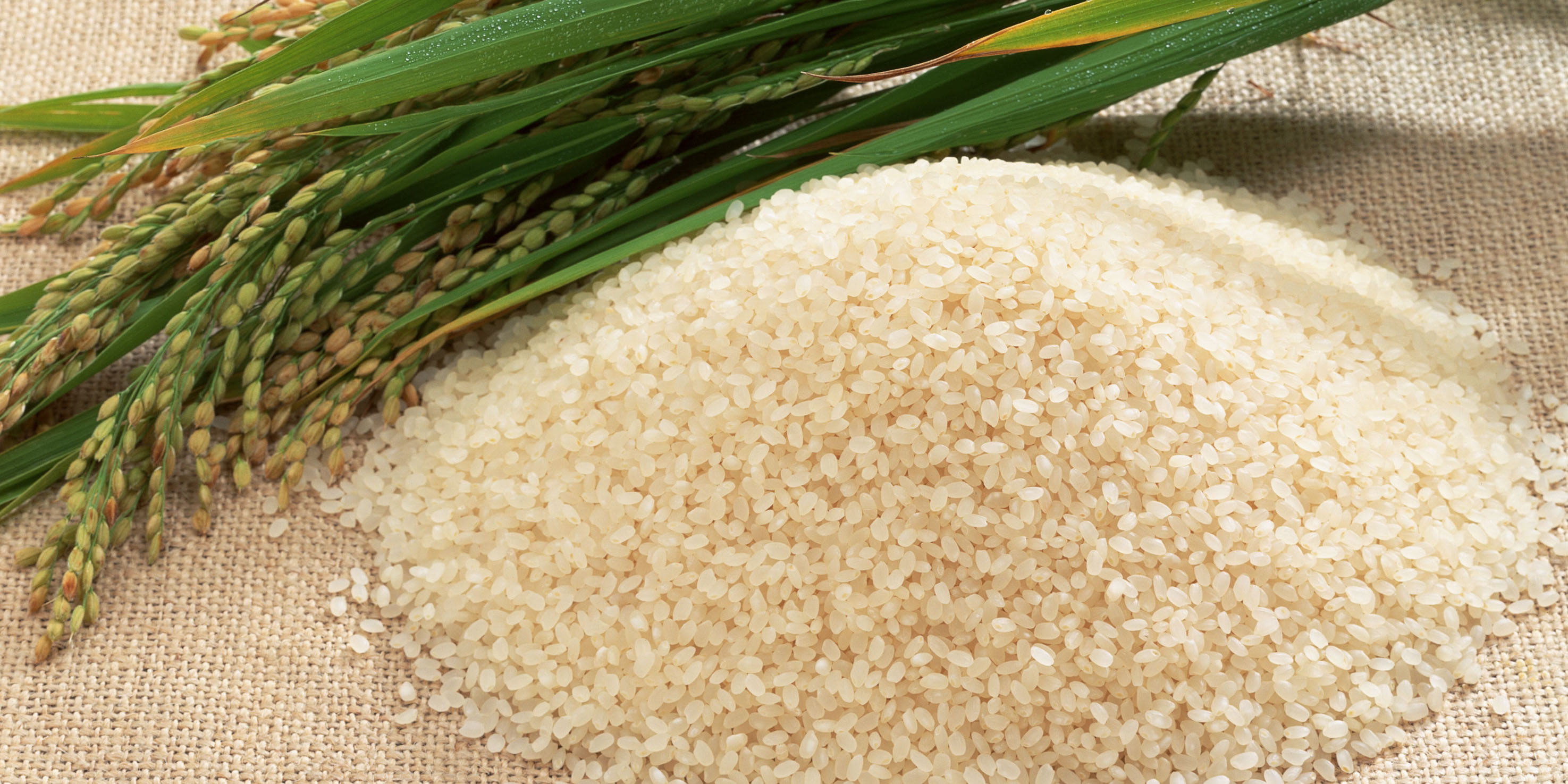 شناسایی و کشف ۲۳ تن برنج قاچاق در اراک