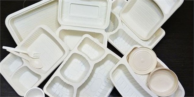 تولید ظروف یک‌بارمصرف کاغذی سازگار با محیط زیست