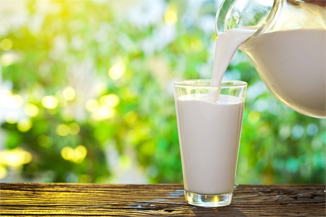 وضعیت قیمت شیر به کجا رسید؟