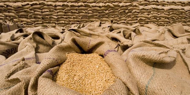 نیاز ایران به واردات ۲.۵ میلیون تنی گندم در سال جاری