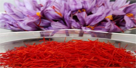 افزایش 97 درصدی صادرات زعفران