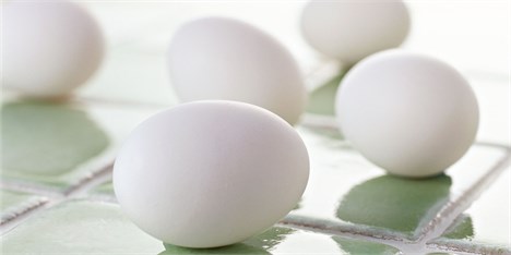 هدف‌گذاری صادرات 200 هزار تنی مرغ و تخم‌مرغ