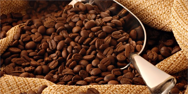 ترکیه مشتری قهوه ایرانی