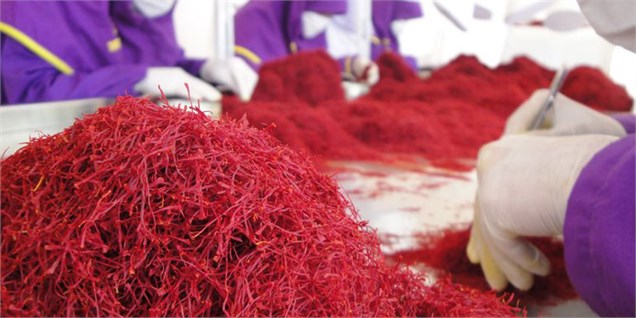 واردات زعفران و برنج ایرانی از کویت و امارات توسط عربستان