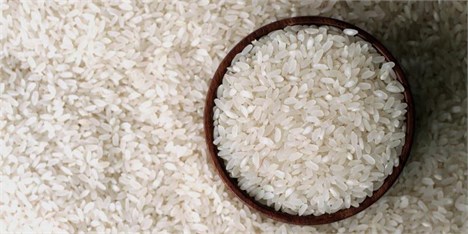 نگرانی برنج‌کاران از اختلاط برنج‌های ایرانی و خارجی
