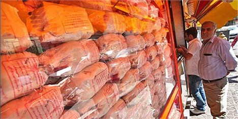 فروش مرغ‌های همدان با بسته‌بندی برندهای خارج استانی در بازار