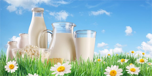 تولید 7.8 میلیون تن شیر و واردات 384 هزار تن لبنیات در سال جاری