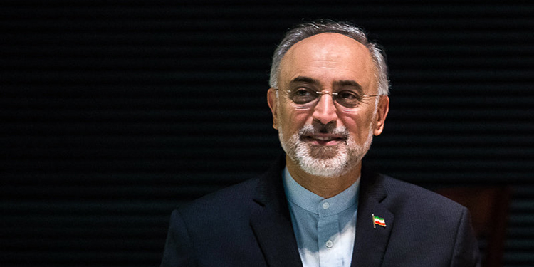 صالحی: لاریجانی سنگ تمام گذاشت/ رییس‌جمهور زمان اجرای تعهدات ایران را تعیین می‌کند