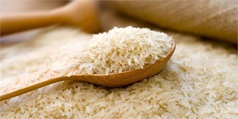 افزایش 6 برابری قیمت برنج