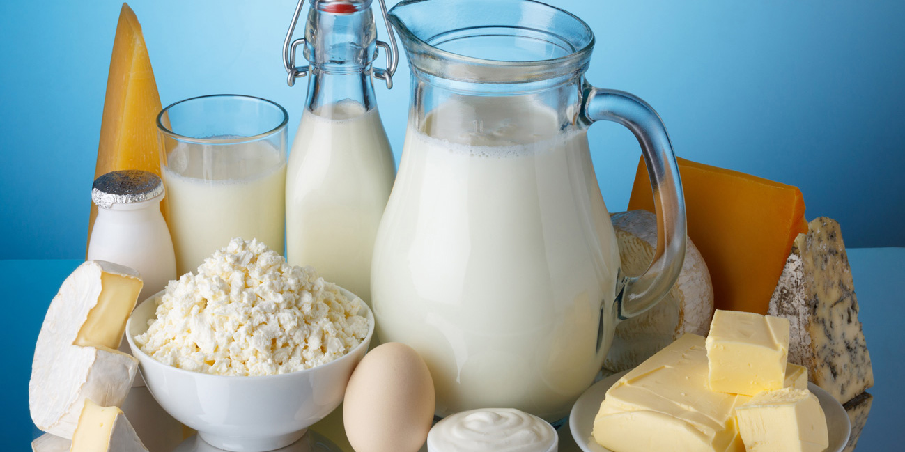 تأسیس بانک شیر امری مهم در حمایت از صنعت لبنیات