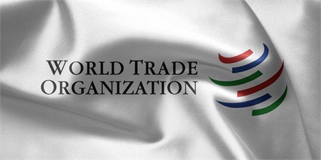 ورود ایران به WTO با توجه به نقش کلیدی اقتصاد ایران در خاورمیانه ضروری است