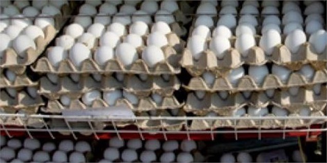 صادرات تخم‌مرغ ۴۰ درصد کاهش یافت