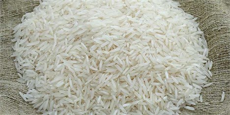 آمار یک میلیون تنی گمرک برای واردات برنج اشتباه است