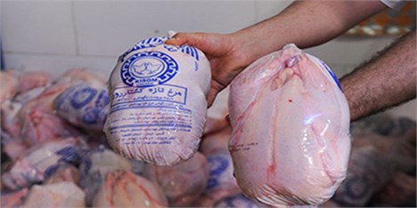 جابجایی و توزیع مرغ بدون کدرهگیری ممنوع شد