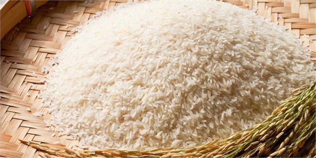 رشد 200 تا 300 تومانی قیمت برنج پس از گرانی ارز